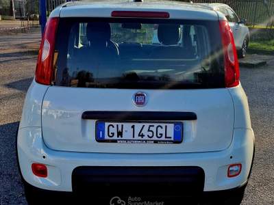 Fiat Panda LA PANDINA, piccola economica per un massimo utilizzo Bianco usata San Donato Milanese