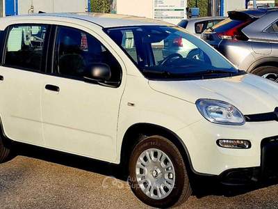 Fiat Panda LA PANDINA, piccola economica per un massimo utilizzo Bianco usata San Donato Milanese