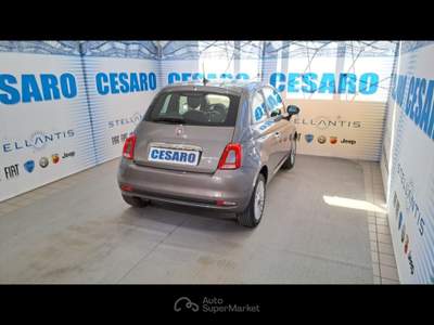 Fiat 500 1.0 hybrid 70cv Cult Grigio usata Pont-Saint-Martin