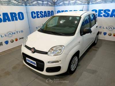 Fiat Panda 1.0 Hybrid 70cv 5 posti Bianco usata Pont-Saint-Martin