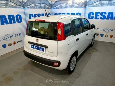 Fiat Panda 1.0 Hybrid 70cv 5 posti Bianco usata Pont-Saint-Martin