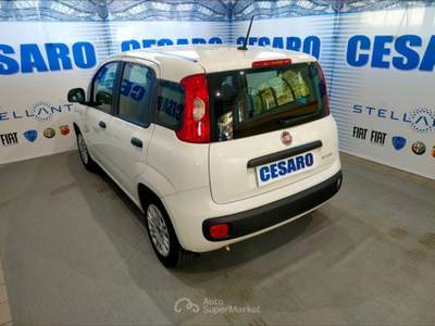 Fiat Panda 1.0 Hybrid 70cv 5 posti Bianco usata Pont-Saint-Martin