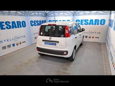 Fiat Panda 1.0 Hybrid 70cv 5 posti Bianco usata Pont-Saint-Martin