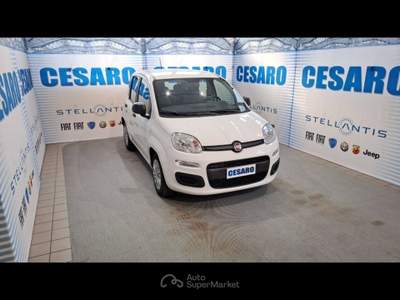 Fiat Panda 1.0 Hybrid 70cv 5 posti Bianco usata Pont-Saint-Martin