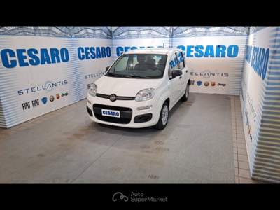 Fiat Panda 1.0 Hybrid 70cv 5 posti Bianco usata Pont-Saint-Martin