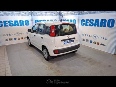 Fiat Panda 1.0 Hybrid 70cv 5 posti Bianco usata Pont-Saint-Martin