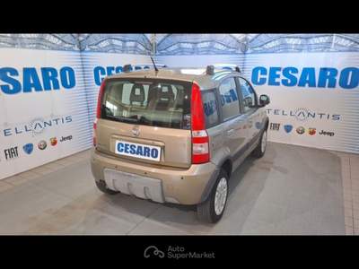 Fiat Panda 1.2 Climbing 4x4 Beige usata Pont-Saint-Martin