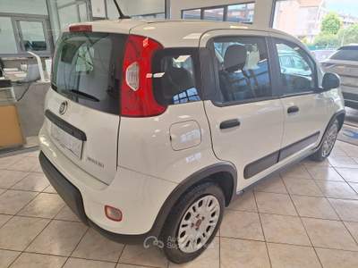 Fiat Panda GSE S&S Hybrid Easy Van 4 posti Bianco usata Castel Gandolfo