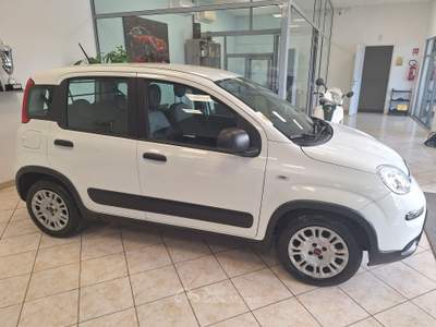 Fiat Panda GSE S&S Hybrid Easy Van 4 posti Bianco usata Castel Gandolfo