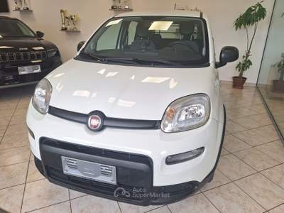 Fiat Panda GSE S&S Hybrid Easy Van 4 posti Bianco usata Castel Gandolfo