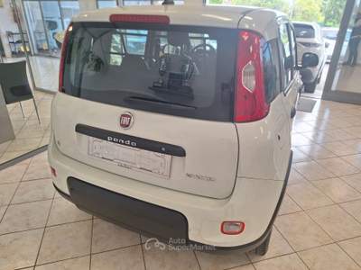 Fiat Panda GSE S&S Hybrid Easy Van 4 posti Bianco usata Castel Gandolfo