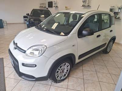 Fiat Panda GSE S&S Hybrid Easy Van 4 posti Bianco usata Castel Gandolfo