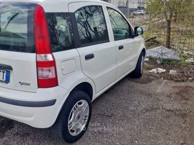 Fiat Panda benzina e metano Bianco usata Garlasco