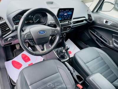 Ford EcoSport EcoBoost 125 CV Start&Stop Active Bianco usata Massarosa