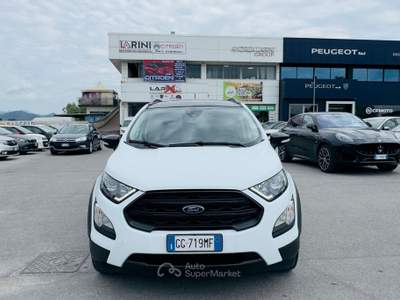 Ford EcoSport EcoBoost 125 CV Start&Stop Active Bianco usata Massarosa