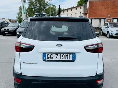 Ford EcoSport EcoBoost 125 CV Start&Stop Active Bianco usata Massarosa
