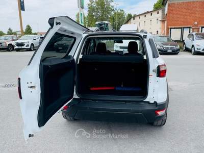 Ford EcoSport EcoBoost 125 CV Start&Stop Active Bianco usata Massarosa