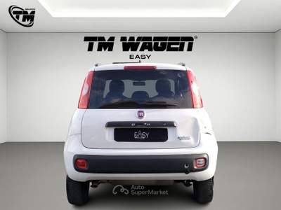 Fiat Panda Fiat Panda 0.9 t.air t. natural power - SINISTRATA - METANO Bianco usata Pistoia