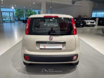 Fiat Panda 1.2 Easy Beige usata Montagna in Valtellina