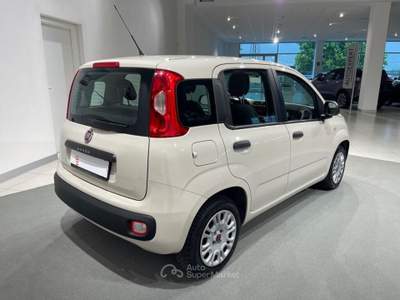 Fiat Panda 1.2 Easy Beige usata Montagna in Valtellina