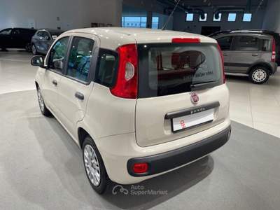 Fiat Panda 1.2 Easy Beige usata Montagna in Valtellina