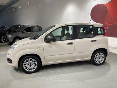 Fiat Panda 1.2 Easy Beige usata Montagna in Valtellina