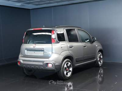 Fiat Panda 1.0 FireFly S&S Hybrid Grigio usata Arsiè