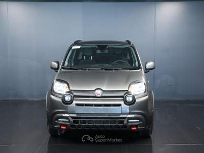 Fiat Panda 1.0 FireFly S&S Hybrid Grigio usata Arsiè