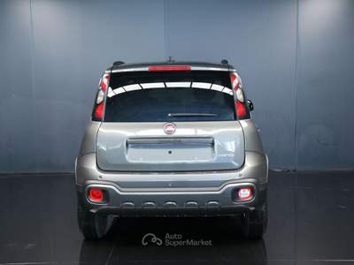Fiat Panda 1.0 FireFly S&S Hybrid Grigio usata Arsiè