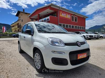 Fiat Pandina 1.0 FireFly 65 CV Hybrid Icon Bianco usata Lavis