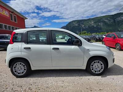 Fiat Pandina 1.0 FireFly 65 CV Hybrid Icon Bianco usata Lavis