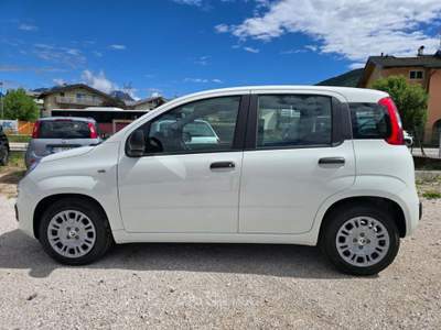 Fiat Pandina 1.0 FireFly 65 CV Hybrid Icon Bianco usata Lavis