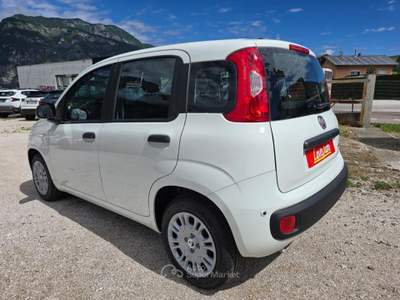 Fiat Pandina 1.0 FireFly 65 CV Hybrid Icon Bianco usata Lavis