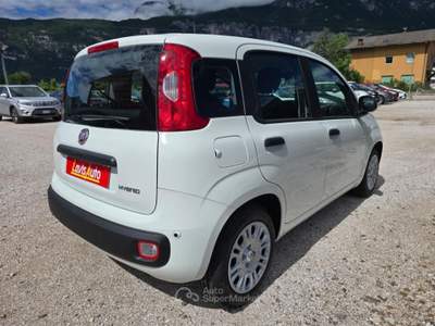 Fiat Pandina 1.0 FireFly 65 CV Hybrid Icon Bianco usata Lavis