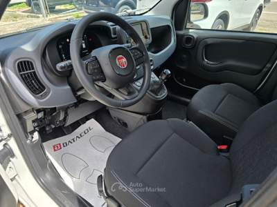 Fiat Pandina 1.0 FireFly 65 CV Hybrid Icon Bianco usata Lavis
