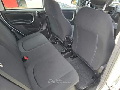 Fiat Pandina 1.0 FireFly 65 CV Hybrid Icon Bianco usata Lavis