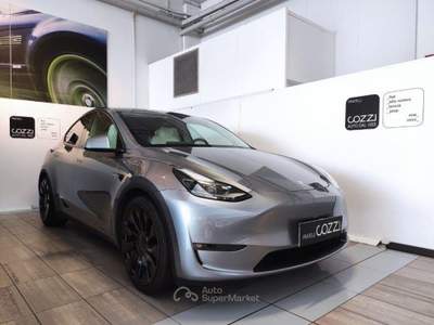 Tesla Model Y  -  awd performance Grigio usata LEGNANO