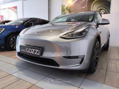 Tesla Model Y  -  awd performance Grigio usata LEGNANO