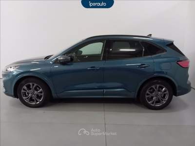 Ford Kuga 2.0 ecoblue st-line x 2wd 120cv auto Blu/Azzurro usata Cava Manara