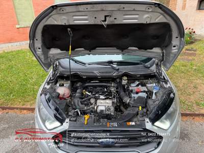 Ford EcoSport 1.0 ecoboost ST-Line Black Edition s&amp;s 125cv my19 Grigio usata Treviso