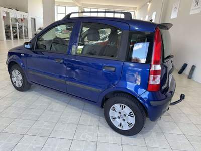 Fiat Panda 1.2 Dynamic Mamy usata Poirino