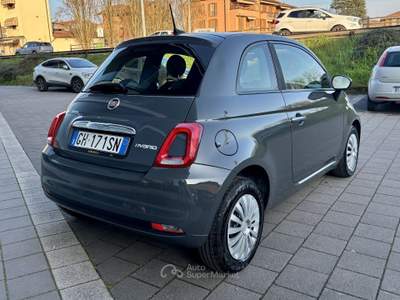 Fiat 500 1.0 70cv Ibrido Cult Grigio usata Pavia