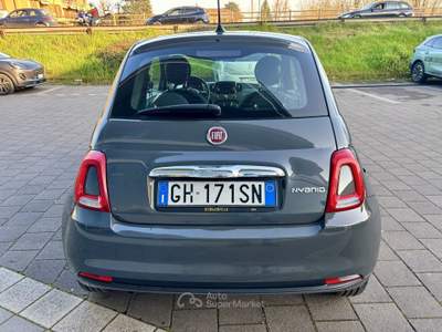 Fiat 500 1.0 70cv Ibrido Cult Grigio usata Pavia