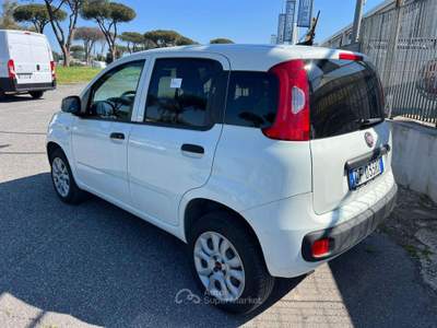 Fiat Panda VAN 2 POSTI 0.9 t.air t. natural power Easy 80cv my19 Bianco usata Roma