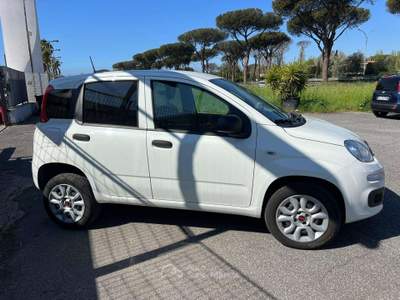 Fiat Panda VAN 2 POSTI 0.9 t.air t. natural power Easy 80cv my19 Bianco usata Roma