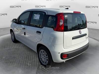 Fiat Pandina 1.0 FireFly 70cv S&S Hybrid Icon Nero usata LIVORNO