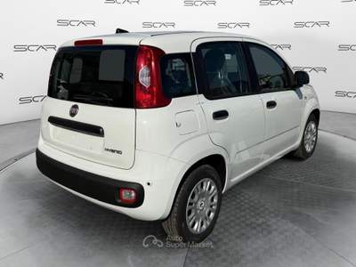 Fiat Pandina 1.0 FireFly 70cv S&S Hybrid Icon Nero usata LIVORNO