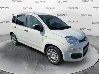 Fiat Pandina 1.0 FireFly 70cv S&S Hybrid Icon Nero usata LIVORNO