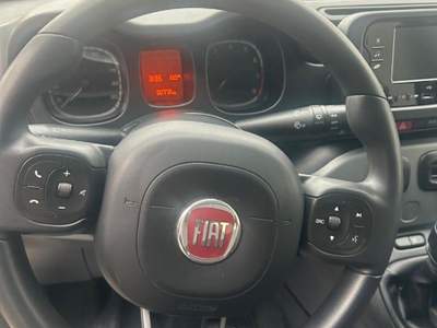 Fiat Panda 1.0 FireFly S&S Hybrid City Life Bianco usata San Cesareo