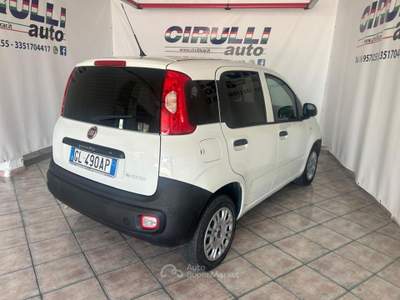 Fiat Panda 1.0 S&S Hybrid Van 2 posti easy Bianco usata San Cesareo